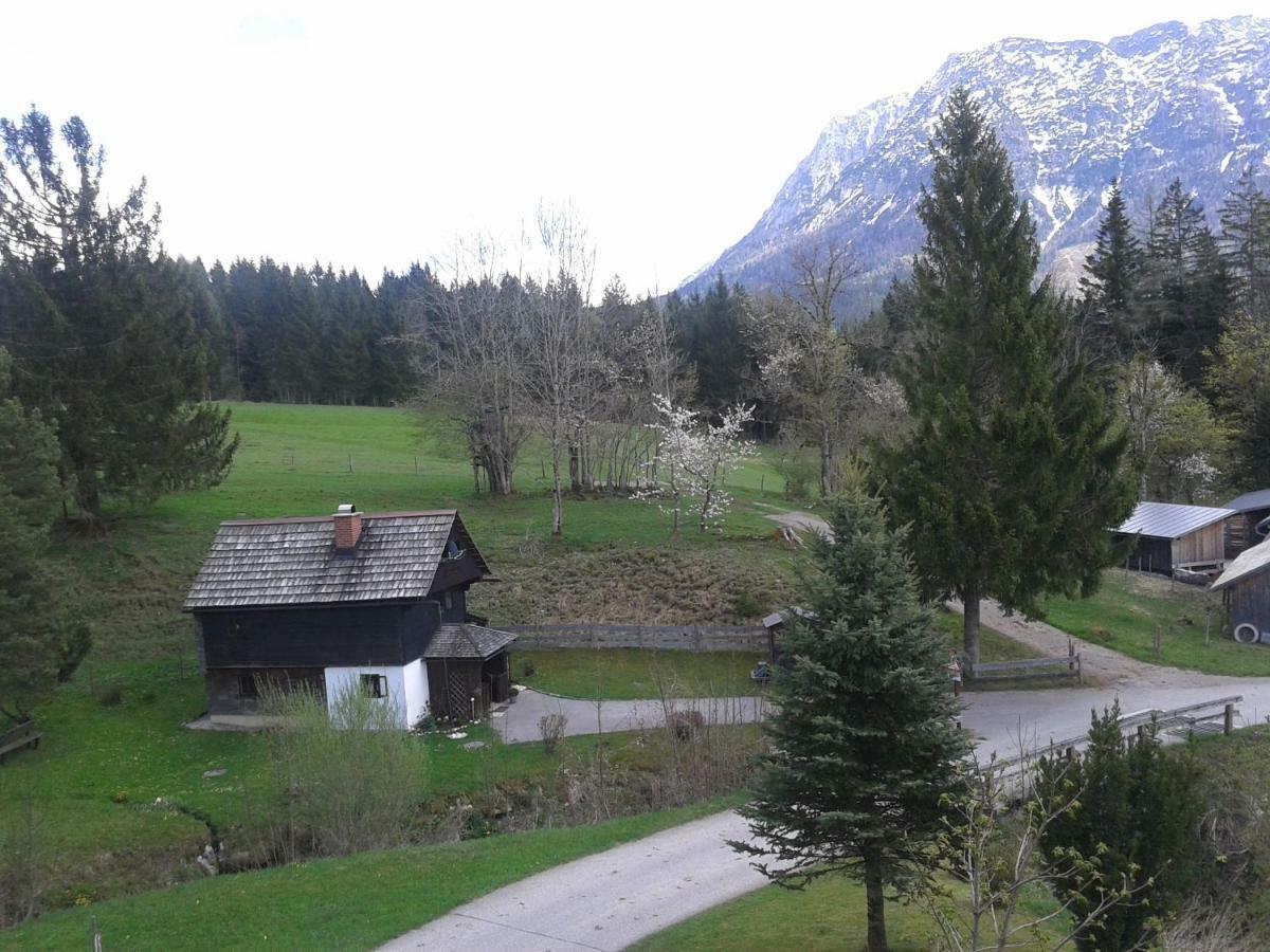Ferienhaus "Badl" Villa Bad Goisern Exterior foto